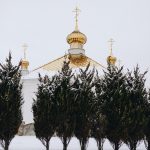 Kopuły cerkwi św. Aleksandry w Stanisławowie widoczne znad szpaleru krzewów (fot. Julia Klewaniec)